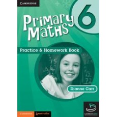 Primary Maths Practice & Homework Book 6 